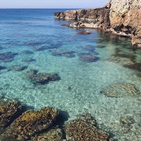 Mare *
