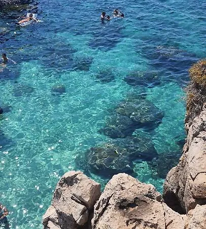 Mare